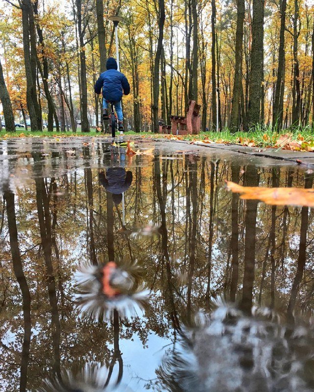 Детство и осень, с ее лужами и разноцветными листьями - идеальное совмещение. Фото: @alexey.yurchenko
