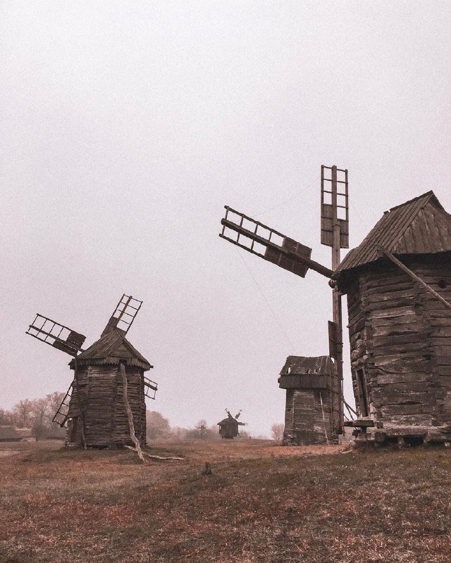 Оттенки осени. Их много, приглядитесь! Фото: @rifephoto