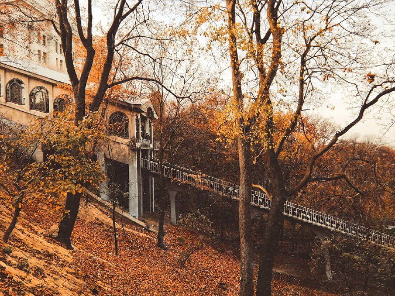 Осень пропадает, уходит, потихоньку прощается. А за фуникулер вот крепенько держится. Может, хочет, чтобы он ее подвез? Фото: @imdeltal