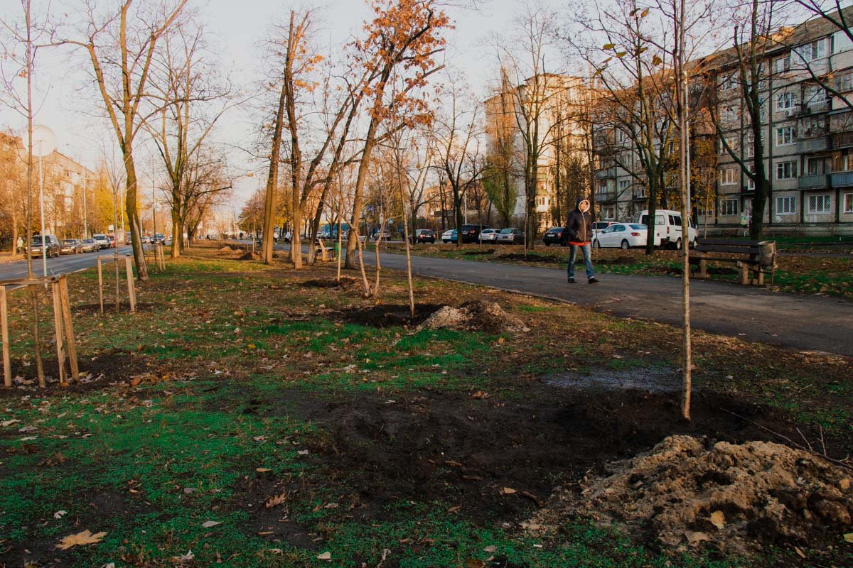 Новые деревья появились еще в трех парках Киева Новые деревья появились еще в трех парках Киева