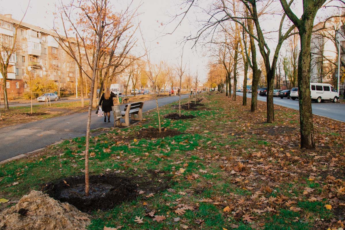 Розовые деревья очищают воздух от вредных микроорганизмов Розовые деревья очищают воздух от вредных микроорганизмов