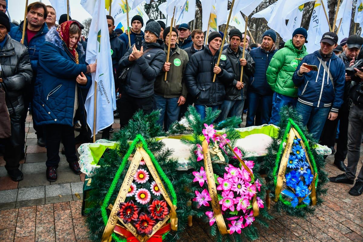 Помимо гроба участники акции также подготовили венки - все серьезно Помимо гроба участники акции также подготовили венки - все серьезно