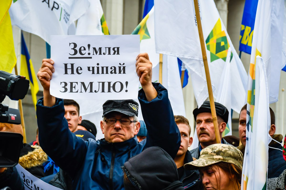 Немало плакатов прямо или опосредованно обращались к Президенту Немало плакатов прямо или опосредованно обращались к Президенту