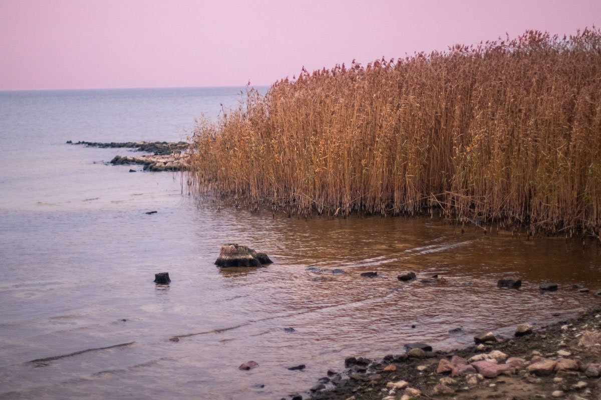 Здесь ни души, слышны лишь звуки спокойных, размеренных волн и крики птиц