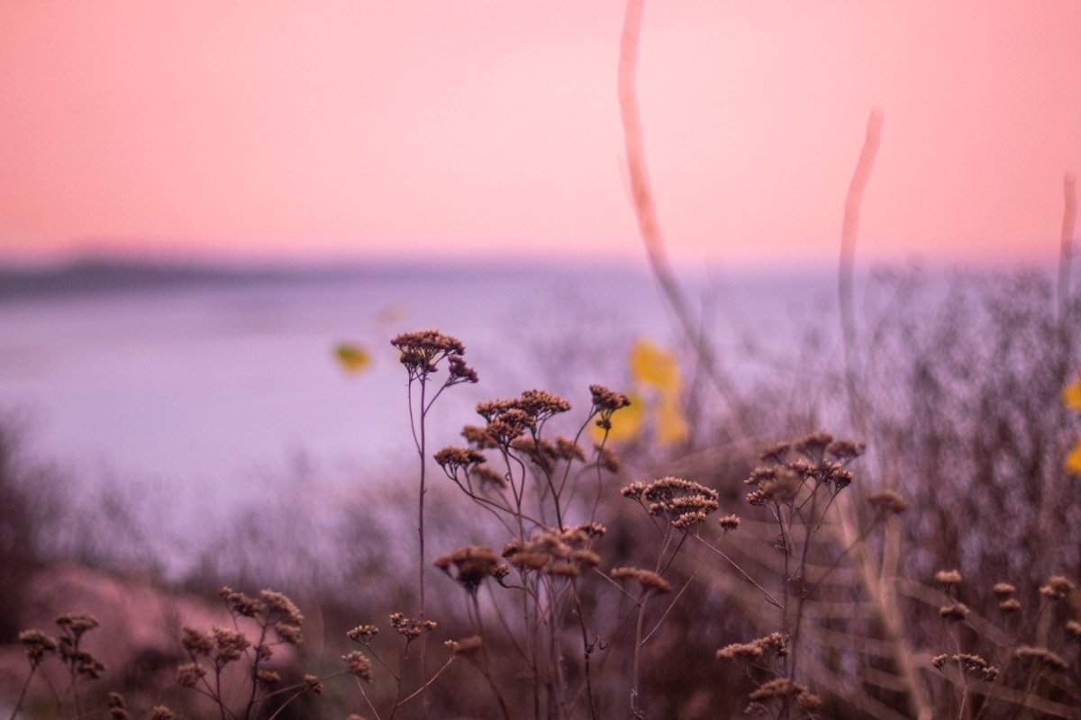 В голове пролетают теплые воспоминания, мысли, на которые просто не хватало времени в повседневной суете