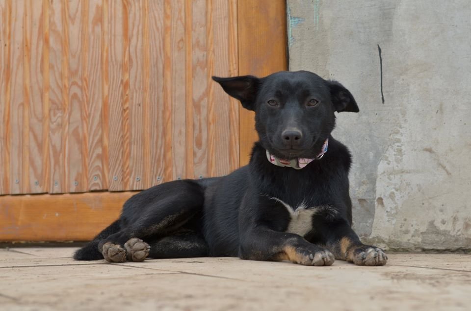 Молли ищет свою семью