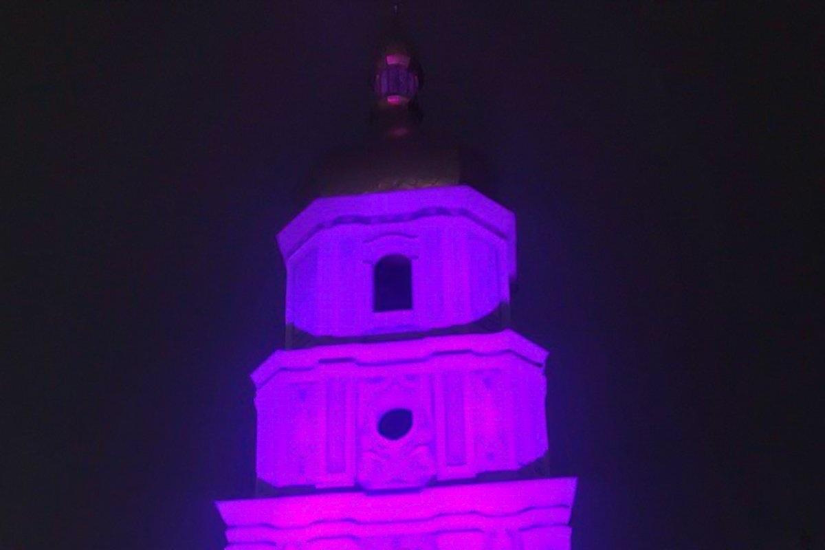 По этой причине важнейшие сооружения мира подсвечивают фиолетовым, чтобы привлечь внимание общества к проблемам тех, кто только появился на свет