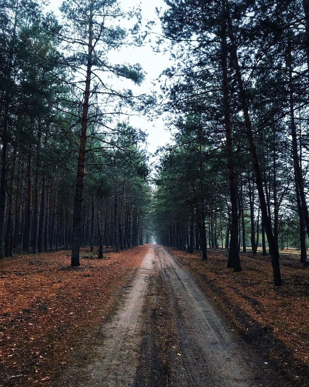 Такая тишина и уединенность действительно способны подарить спокойствие, как и говорит @pineapplemind