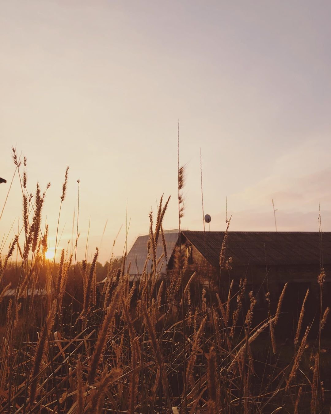 И снова немного умиротворения, на этот раз от @solomia_buchynska. Да, в Киеве есть и вот такие крутые и согретые солнцем локации