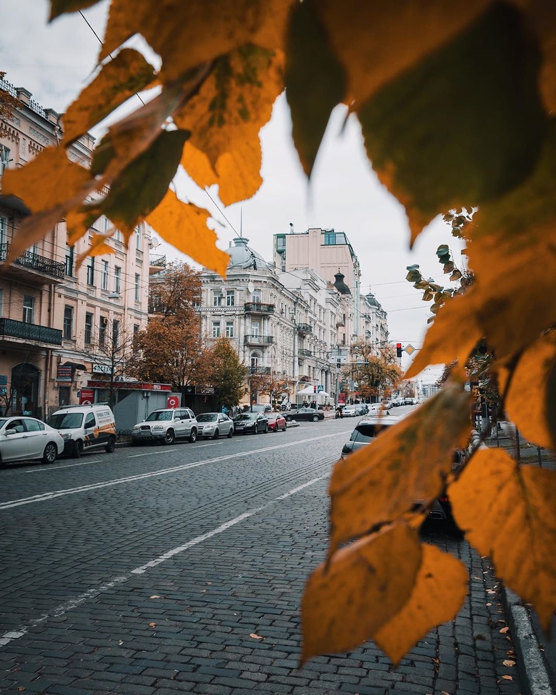А как вам такой взгляд? На типично урбанистическую картину, но в природном обрамлении? Фото - @zhukevych