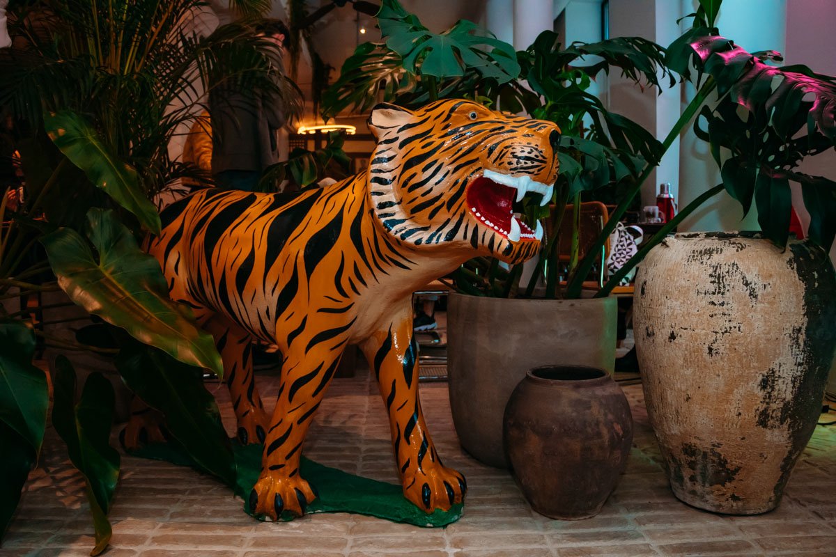 Тигра привезли на самолете в большом контейнере и теперь он символ заведения Тигра привезли на самолете в большом контейнере и теперь он символ заведения