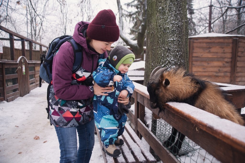 Среди прочих локаций отдельно стоит отметить Контактный зоопарк Среди прочих локаций отдельно стоит отметить Контактный зоопарк