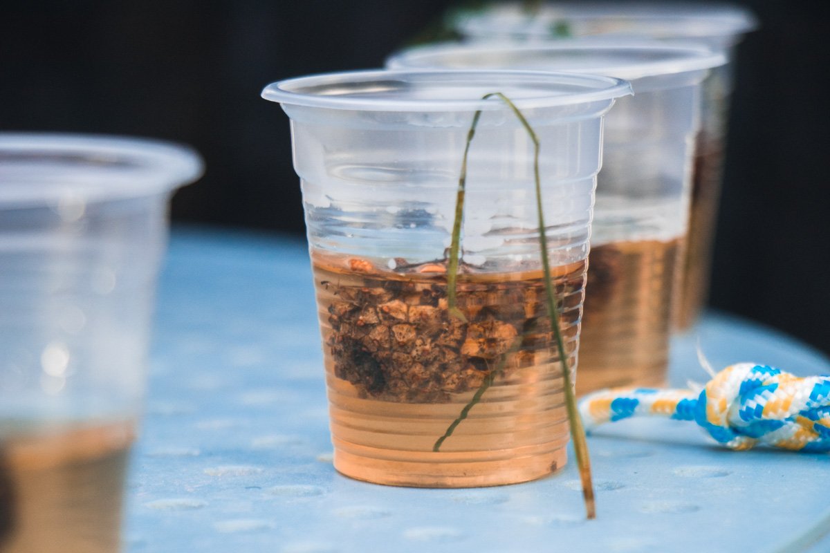 Участники акции хотели не только дать почувствовать на вкус ужасы Голодомора, но и показать их Участники акции хотели не только дать почувствовать на вкус ужасы Голодомора, но и показать их