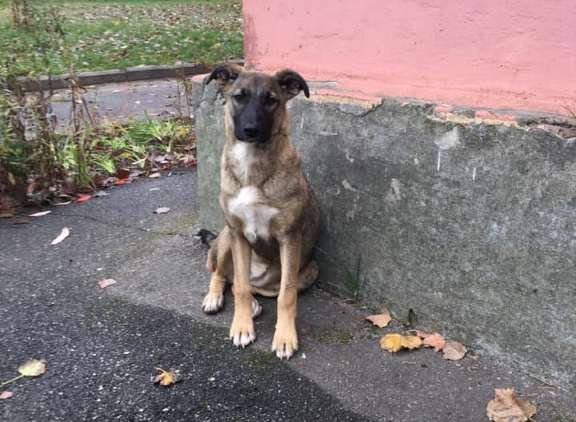 Подружка очень хочет обрести семью