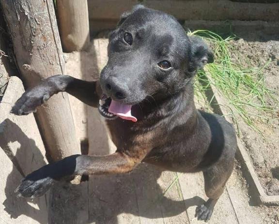 С начала своей жизни она живет в приюте