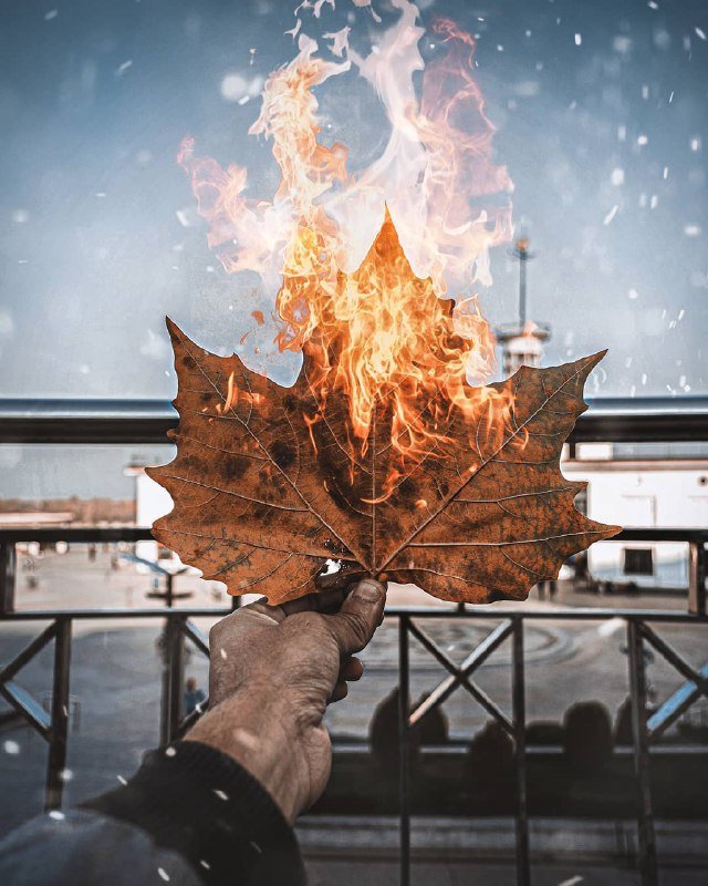 Осень - птица Феникс. Фото: @rostikarts