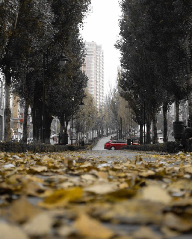 Серый... переодевается к зиме. Фото: @alexey.yurchenko