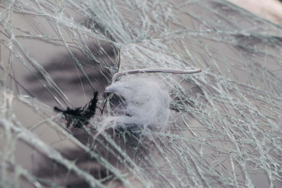 Очевидцы говорят, что он резко вышел сзади движущегося навстречу Daewoo автомобиля, и водитель не успел нажать на тормоз Очевидцы говорят, что он резко вышел сзади движущегося навстречу Daewoo автомобиля, и водитель не успел нажать на тормоз