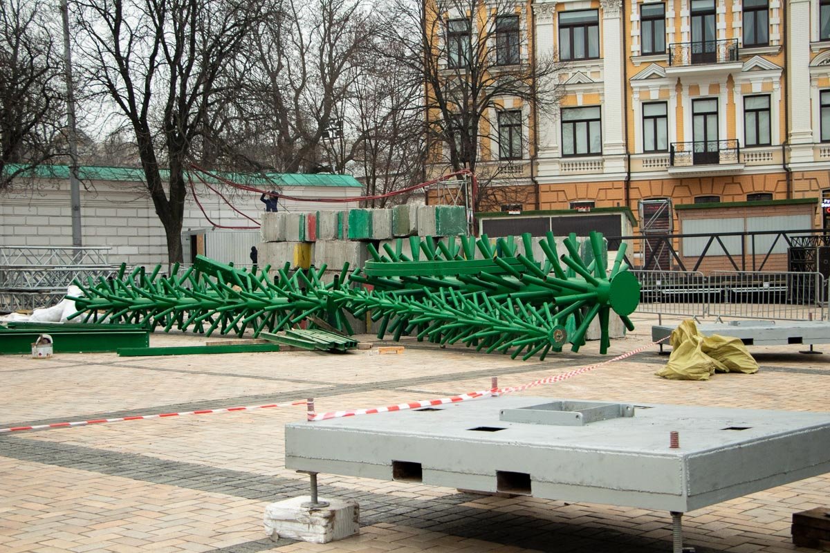 Верхушка будущей зеленой красавицы Верхушка будущей зеленой красавицы