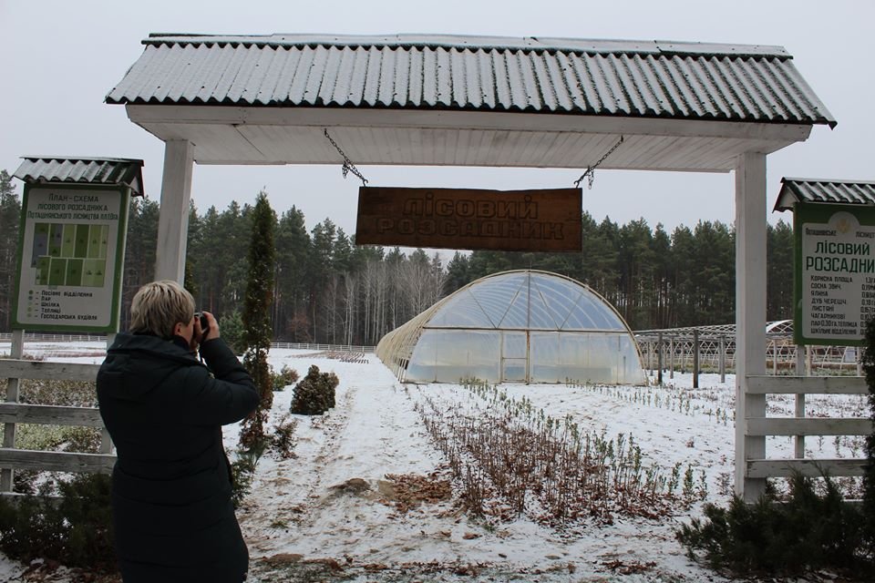 Сколько деревьев нужно, чтобы построить главную елку страны и откуда везут 2