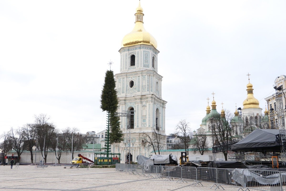 Новогодняя елка уже обретает свой благородный вид Новогодняя елка уже обретает свой благородный вид
