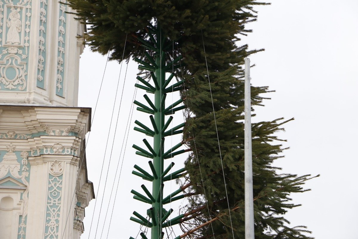 Праздник приближается Праздник приближается