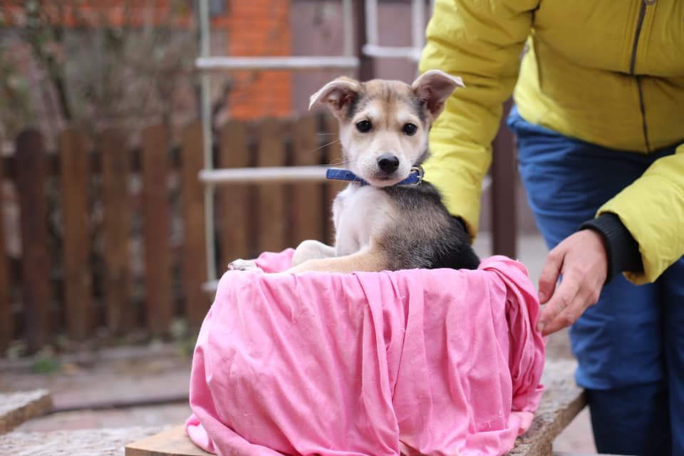 Мила влюбит вас в себя своими милыми глазками