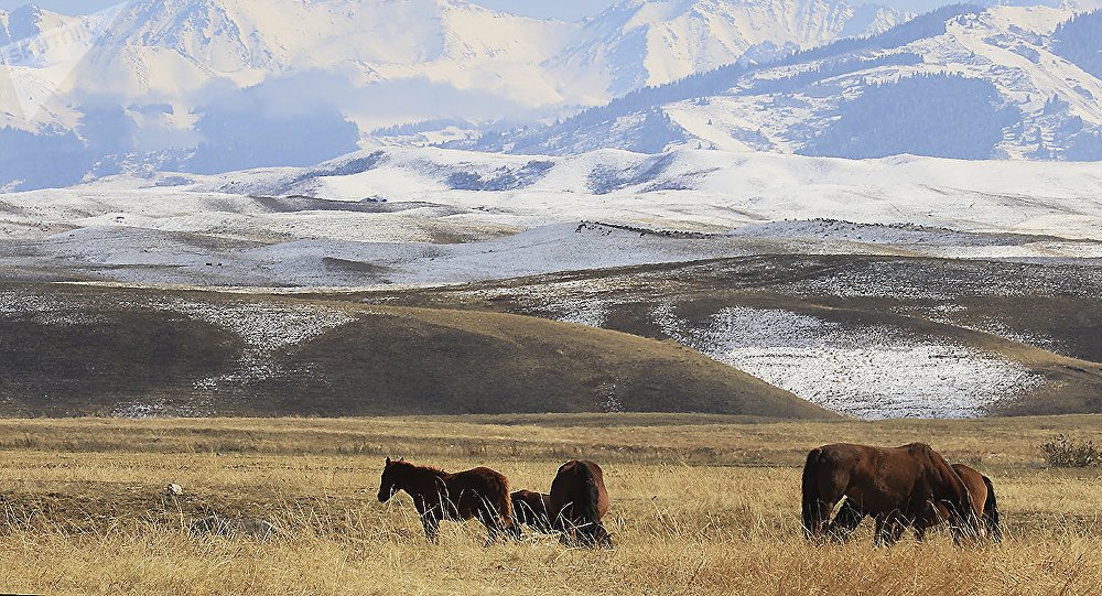 Казахстан пережил серьезное землетрясение Казахстан пережил серьезное землетрясение