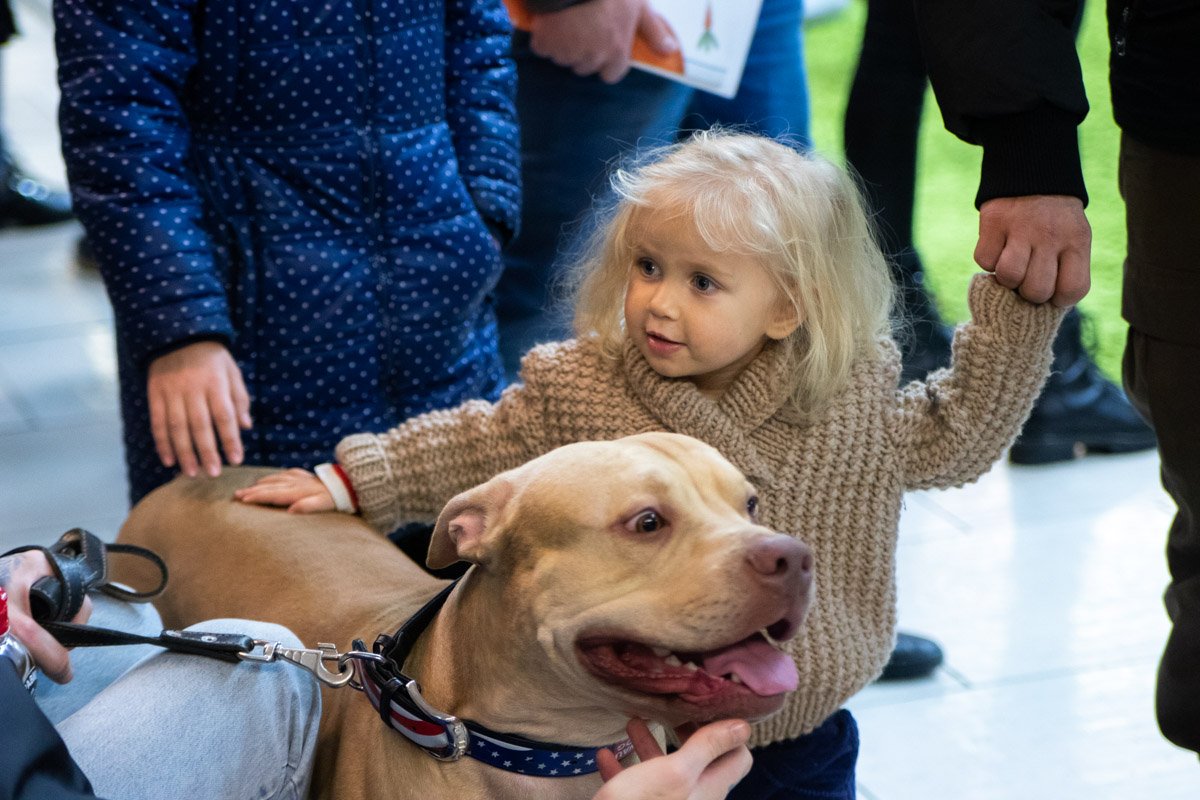 Говорят, собака полностью соответствует характеру хозяина. И цвету тоже :) 