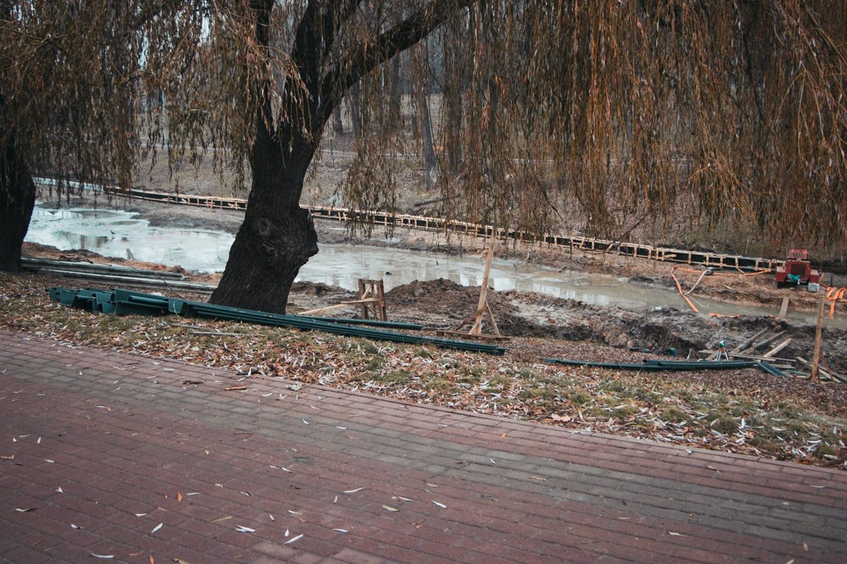 Это случилось во время расчистки озера 