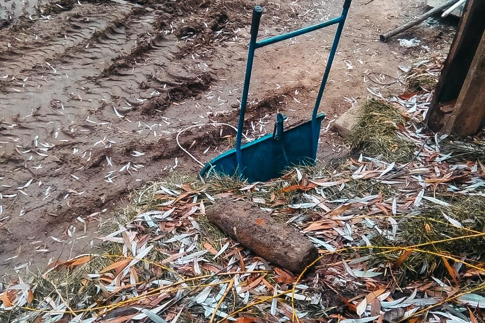 Предварительно, это мина времен Второй мировой войны 