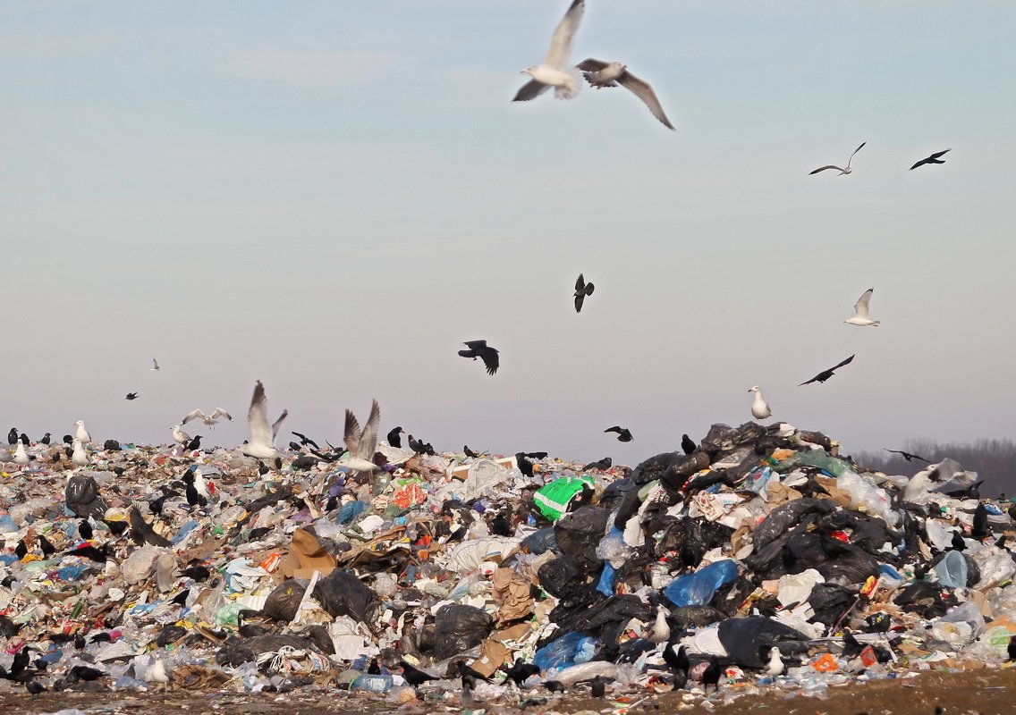 Этому полигону уже больше 30 лет Этому полигону уже больше 30 лет