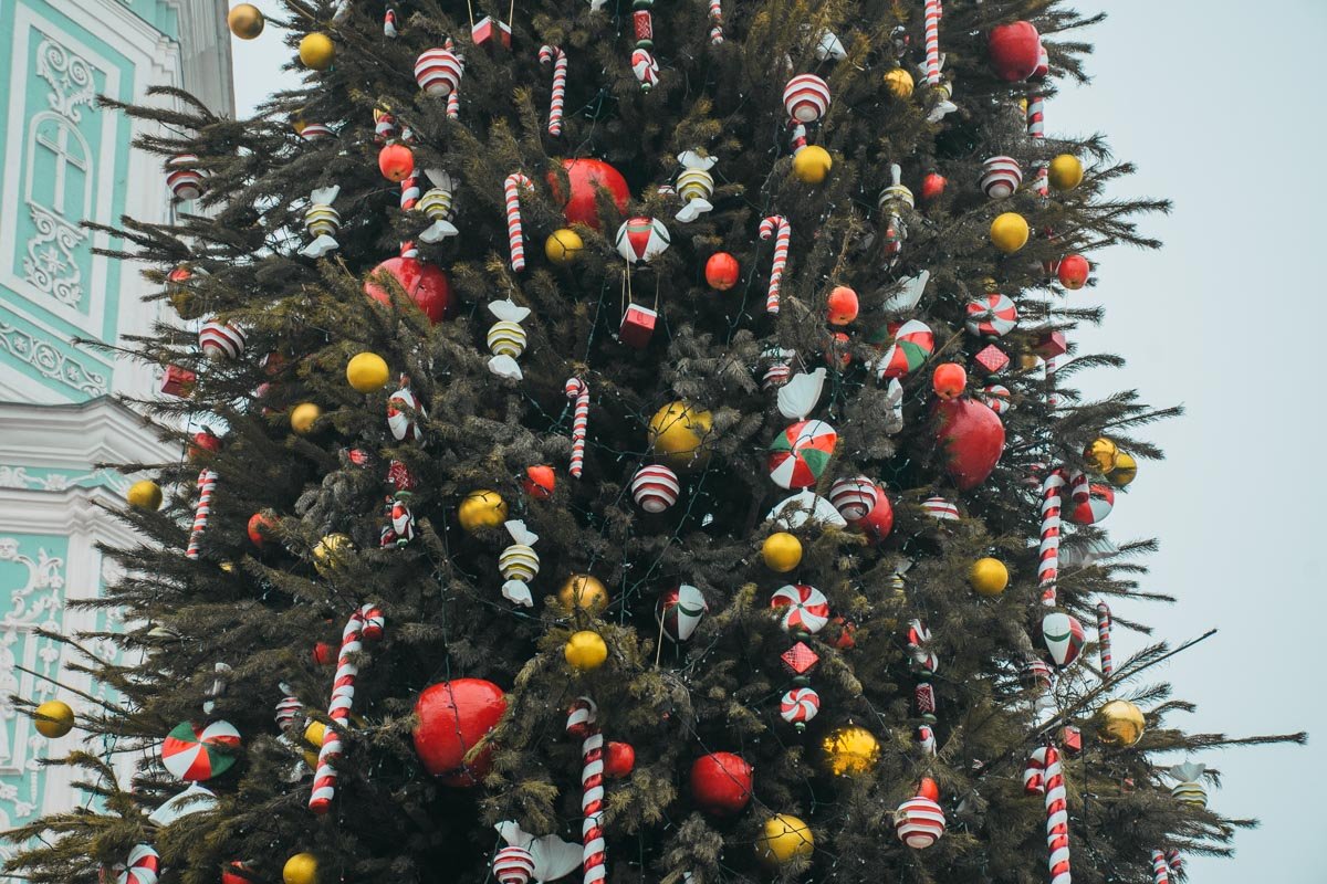 Елочку уже украсили игрушками в виде шаров, леденцов и яблок Елочку уже украсили игрушками в виде шаров, леденцов и яблок