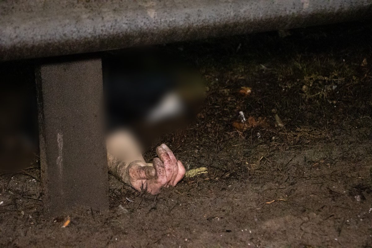 Пол погибшего удалось установить только по уцелевшей руке, которая отлетела на разделитель