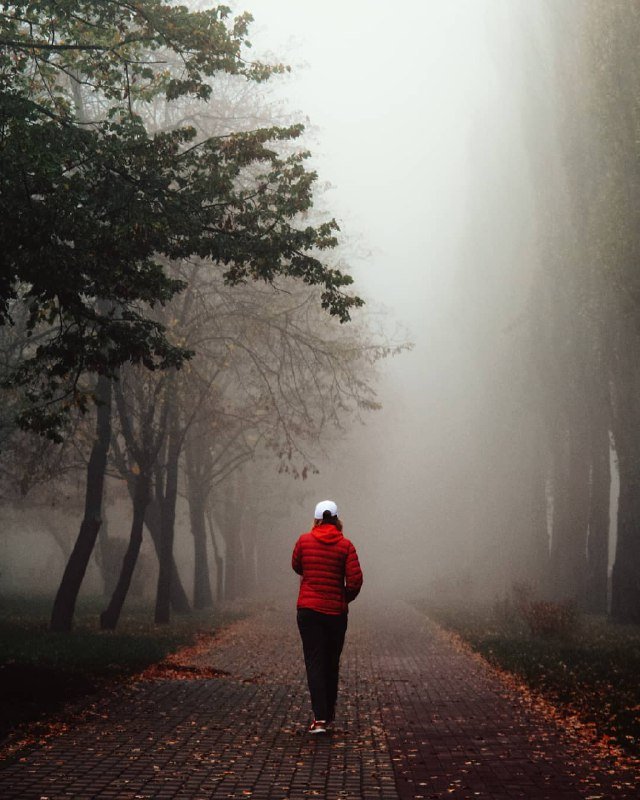 И туман не прячет его красоту. Фото: @istetsen