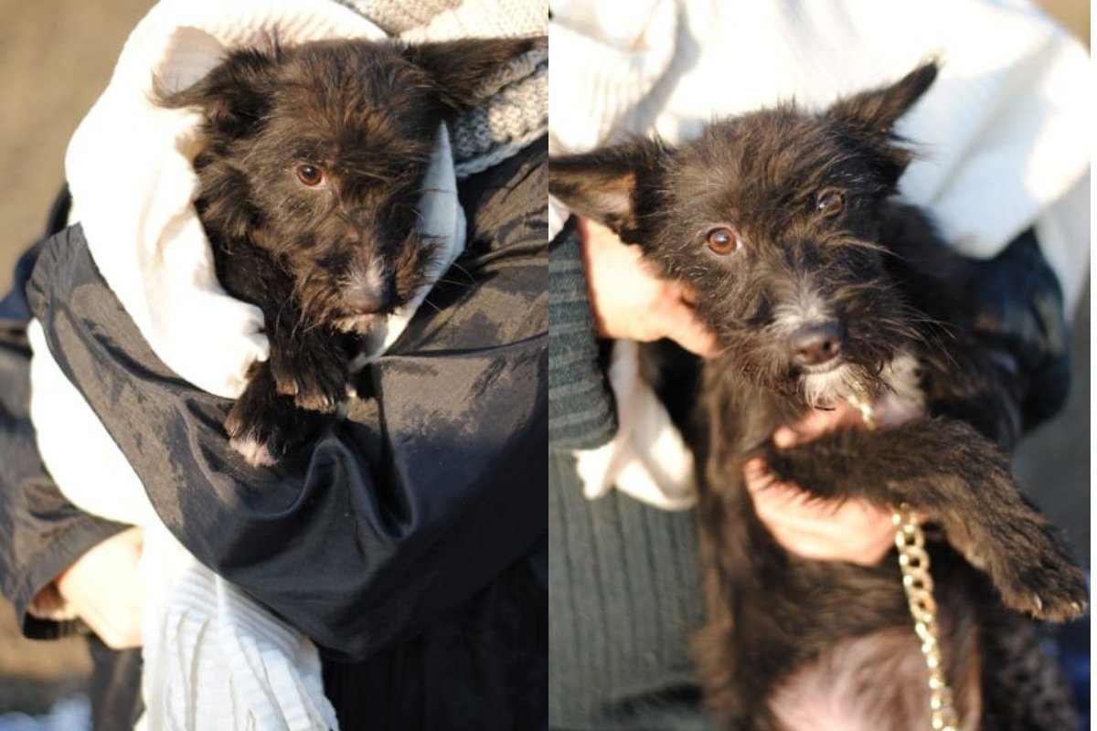 Жизнерадостная Кики поделиться с вами умением наслаждаться жизнью Жизнерадостная Кики поделиться с вами умением наслаждаться жизнью