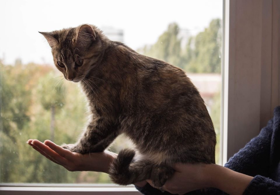 Маленькая, но очень волевая! Маленькая, но очень волевая!