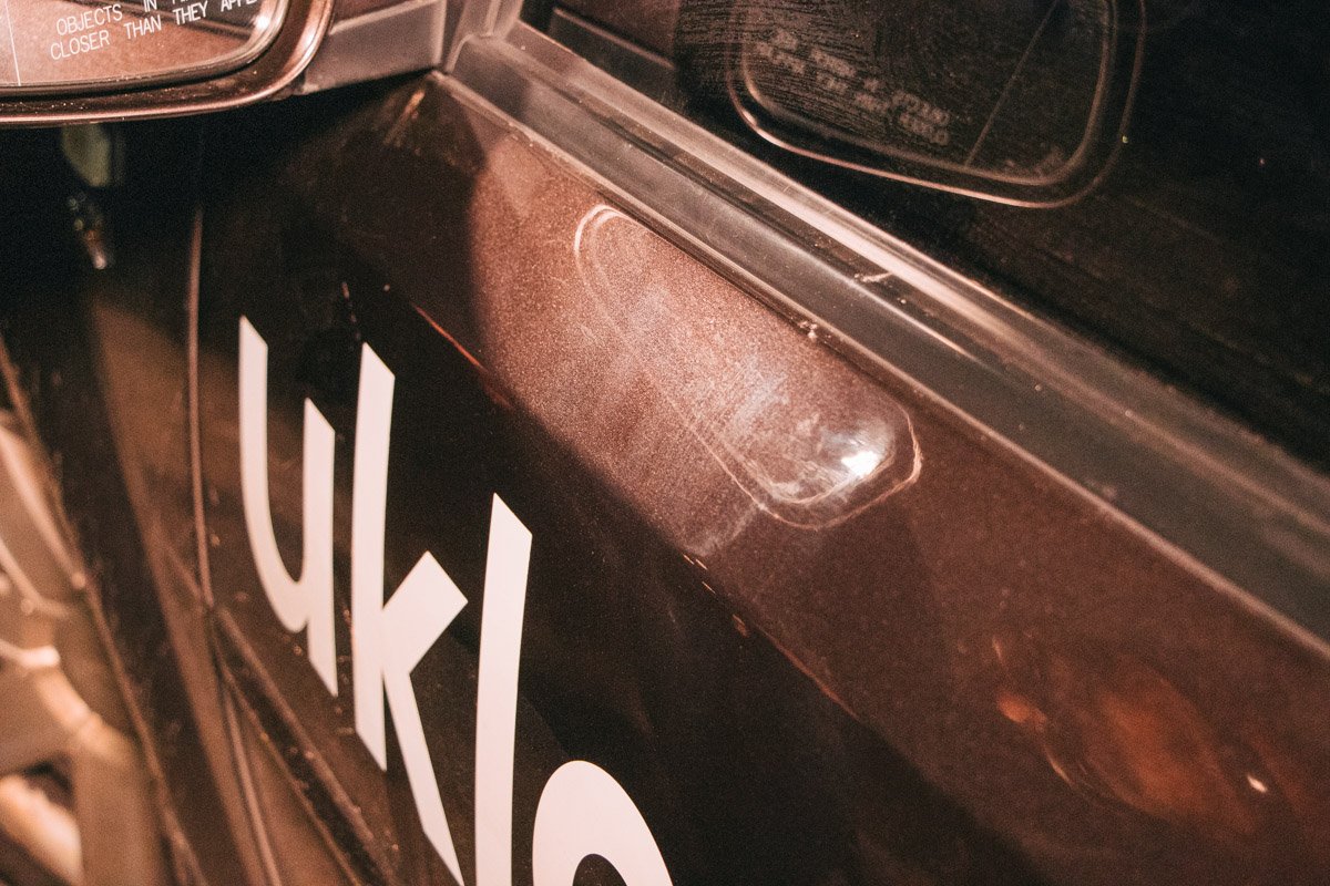 Пес пытался запрыгнуть в автомобиль мужа, который приехал на помощь Пес пытался запрыгнуть в автомобиль мужа, который приехал на помощь