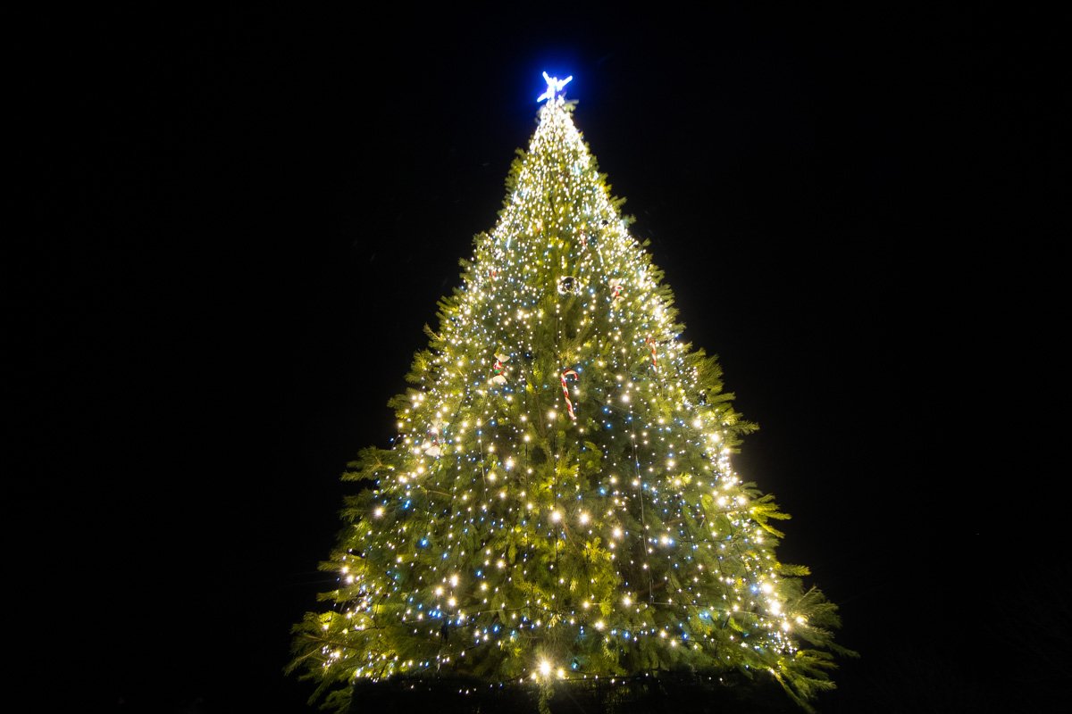 Естественно, по этому поводу Киев украсили тысячами ярких гирлянд и игрушек, установили десятки елок