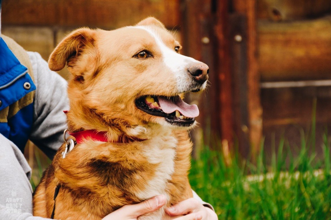 Вы только посмотрите на этого красавца! Вы только посмотрите на этого красавца!