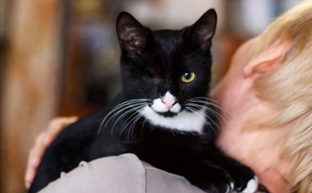 Ариша готова подарить вам тепло и любовь Ариша готова подарить вам тепло и любовь