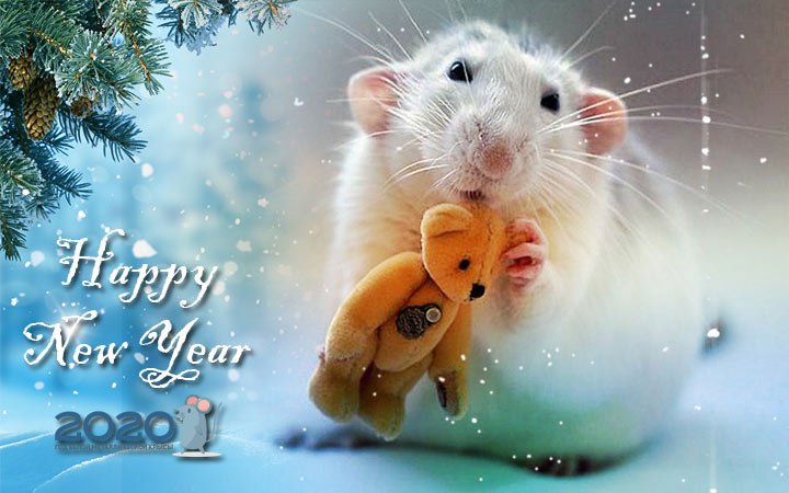 Живите счастливо, спокойно! И будьте всем всегда довольны!