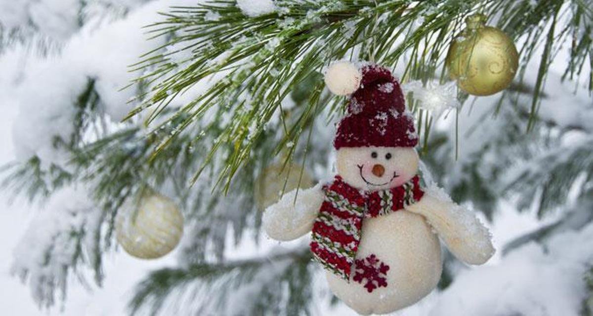 Главное - тепло одеться:) Главное - тепло одеться:)