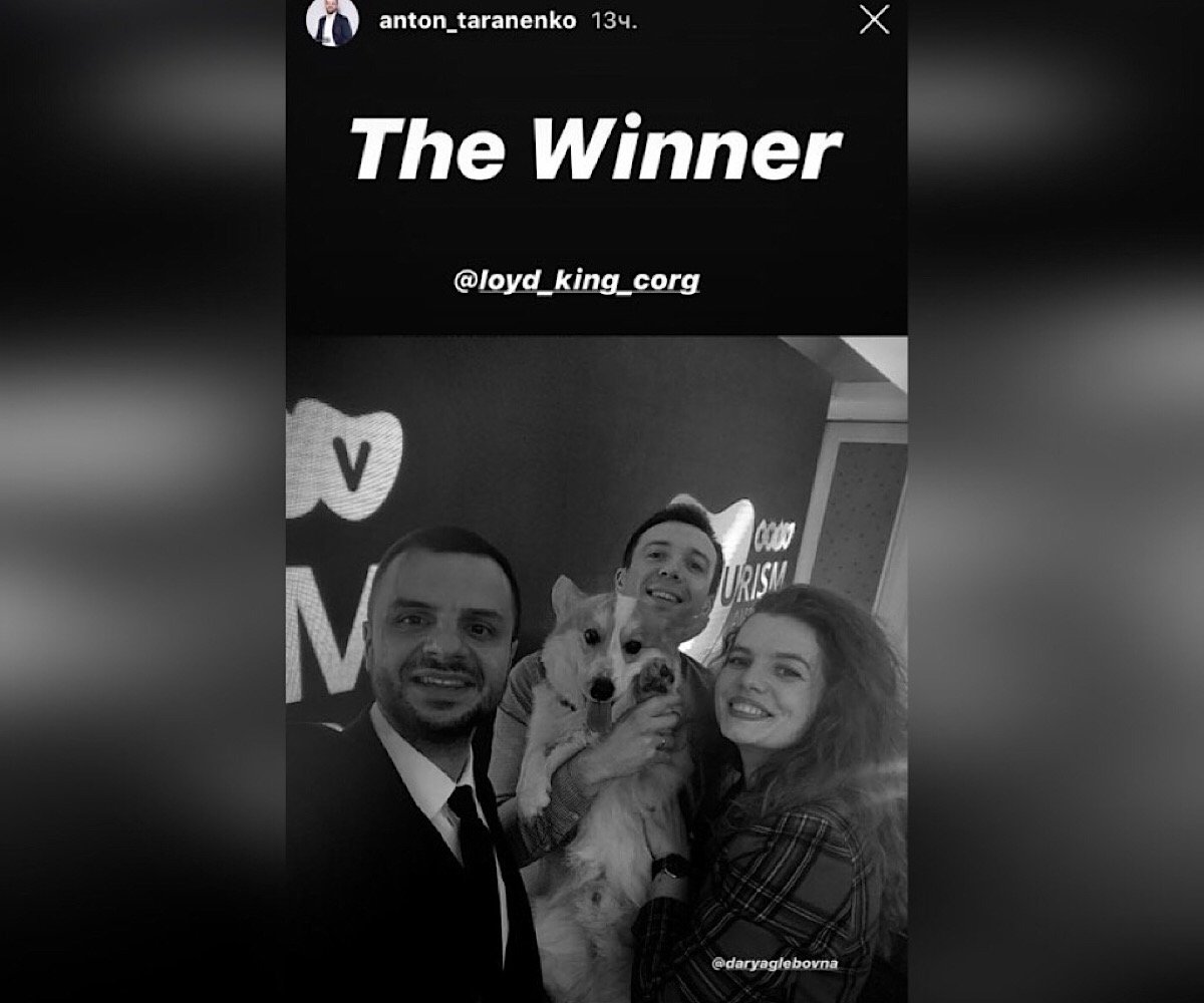 А вот и сам корги Ллойд празднует свою победу А вот и сам корги Ллойд празднует свою победу