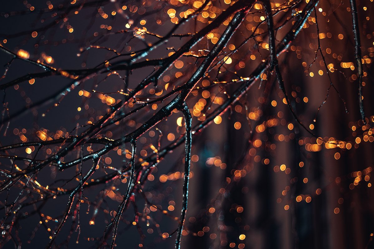 Холодный моросящий дождь лишь придавал шарма улице Холодный моросящий дождь лишь придавал шарма улице