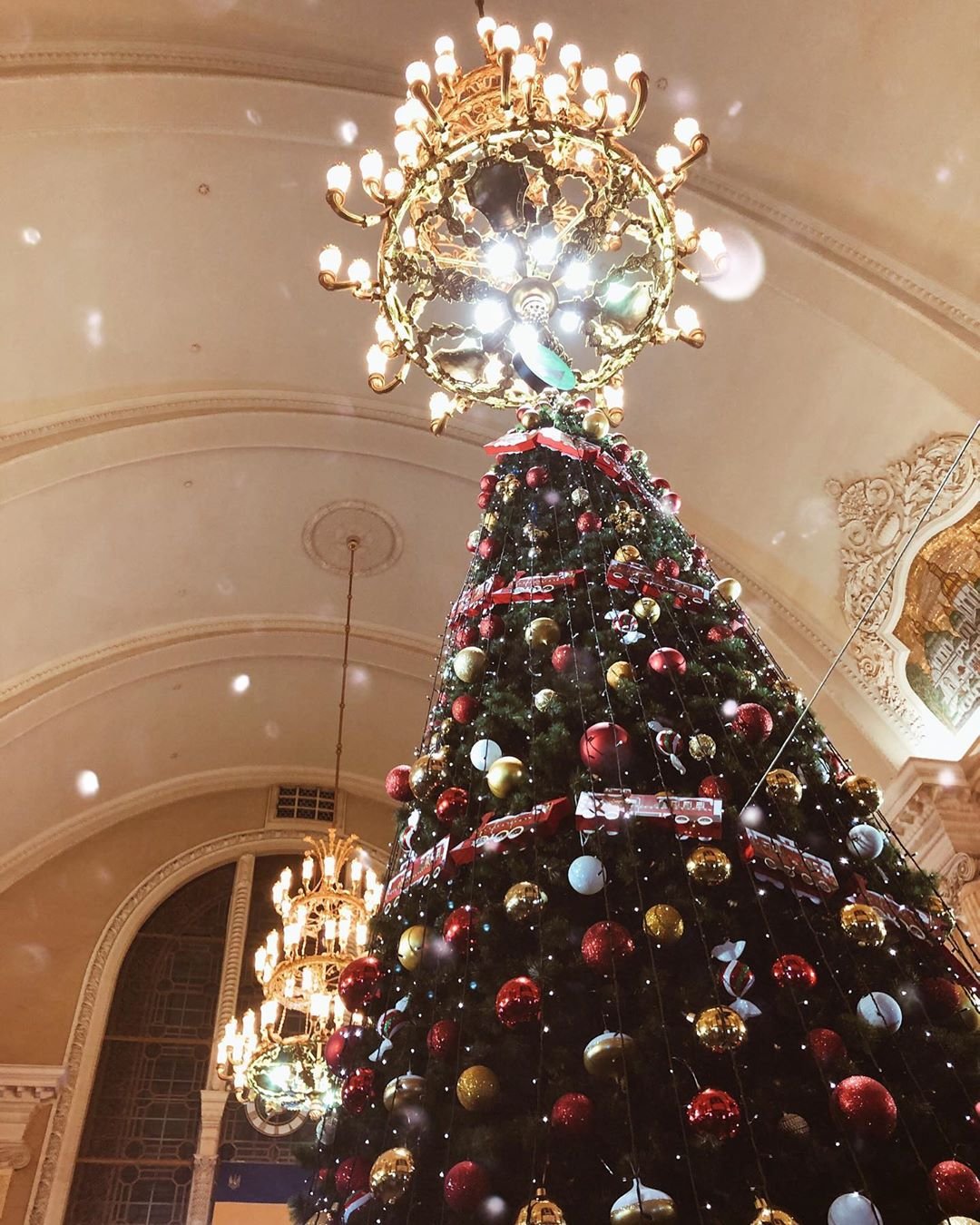 Больше елок - красивых и разных. Фото - @yuliia_noskova