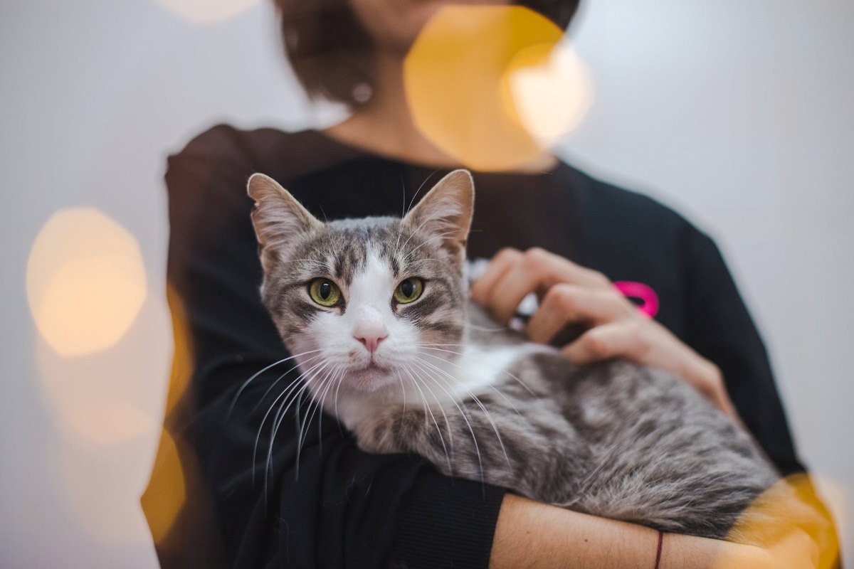 Лаймик ждет именно вас! Лаймик ждет именно вас!