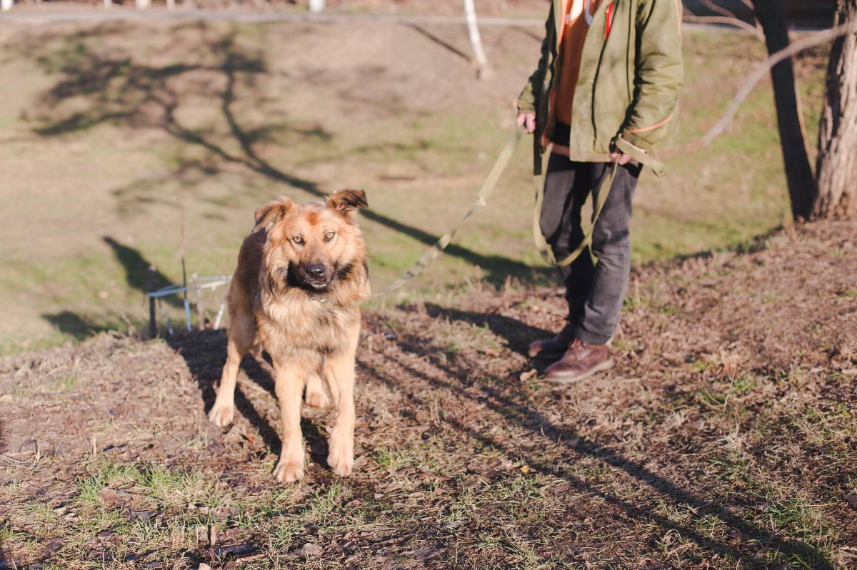 Готовы к самым милым поцелуям от Дуная?:) Готовы к самым милым поцелуям от Дуная?:)