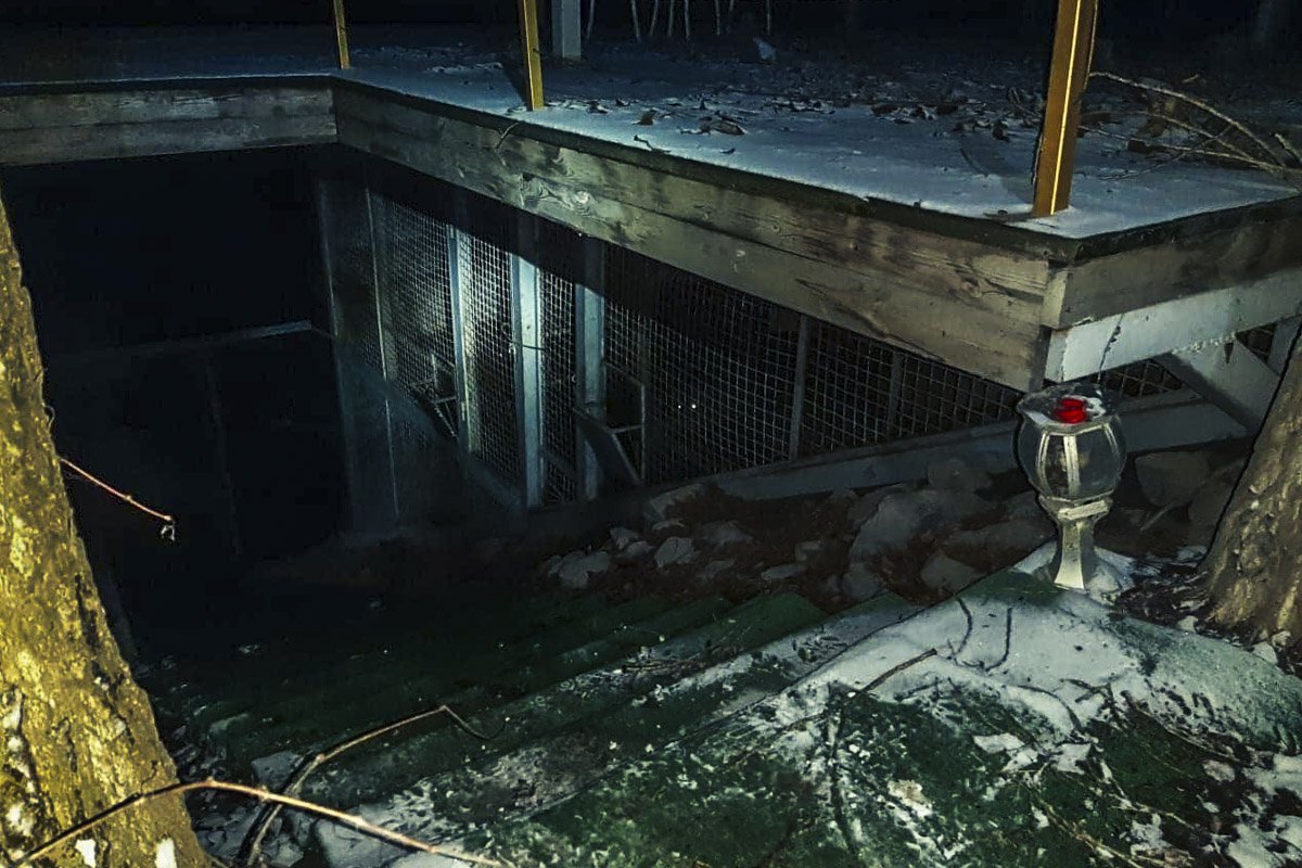 В Киеве на острове Жуков в клетках удерживают тигров