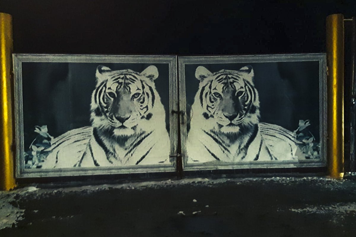 Полиция возбудила уголовное дело